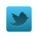 678275-603225-twitter_icon_2011